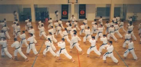 K. Funakoshi seminaro akimirka