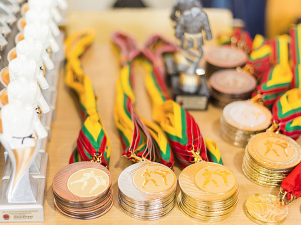 VIII-tas Lietuvos senjorų šotokan karate čempionatas